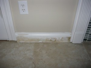 20150820_2536 (1024x768)