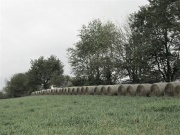 20180922_2727 (1024x768)