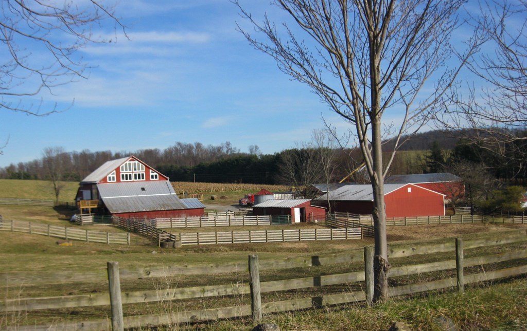 20181219_2758 (1024x644)