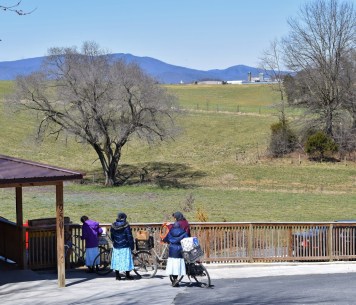Dayton Bicycle Family