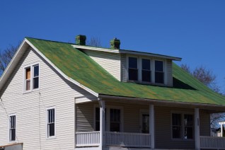 Spring Hill VA green roof