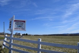 Spring Hill VA organic farm (1024x683)