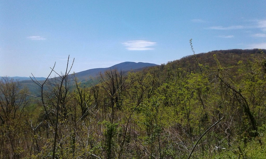 20200502_125351 (1024x614)